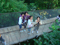 72407capilanobridge2