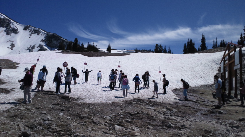 2010071813550000 2010071813550000