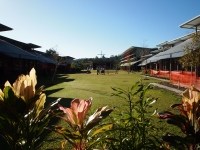 P7250477_800x600_2 P7250477_800x600_2