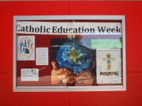 P7250489_800x600_2 P7250489_800x600_2