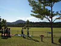 P7280529_800x600 P7280529_800x600