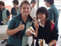 P7280536_800x600 P7280536_800x600