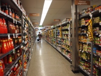 P7300598_800x600_2 P7300598_800x600_2