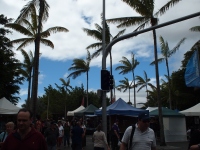 P7300601_800x600 P7300601_800x600