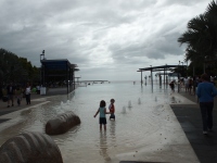 P7300602_800x600 P7300602_800x600