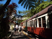 P7310696_800x600_2 P7310696_800x600_2