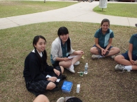 P8020723_800x600 P8020723_800x600