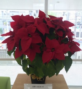 写真 2015-12-08 12 01 19 (592x640)