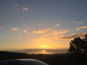 New Plymouth_Karen_17053