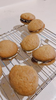 ダウンロード (1)