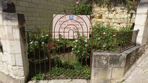 写真 2018-07-23 17 55 21