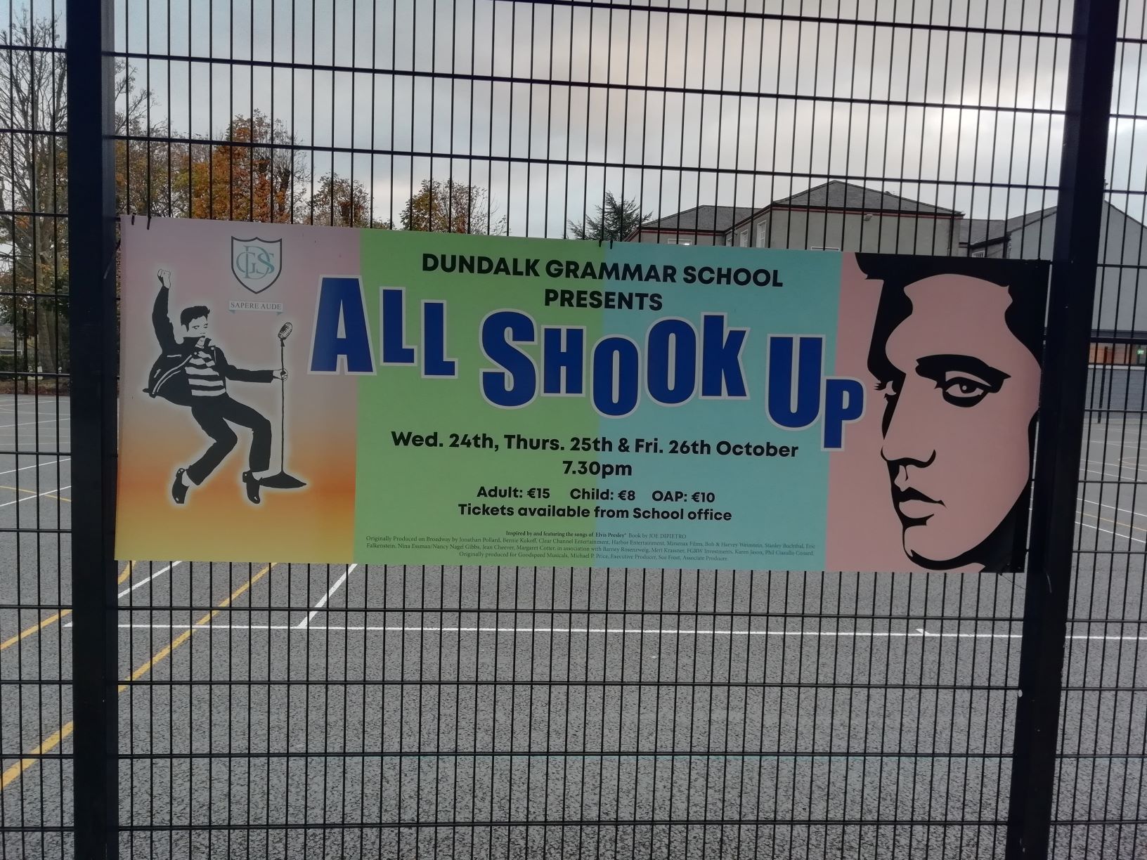 From Ireland – TOBITATE! Exchange Report from Dundalk Grammar School