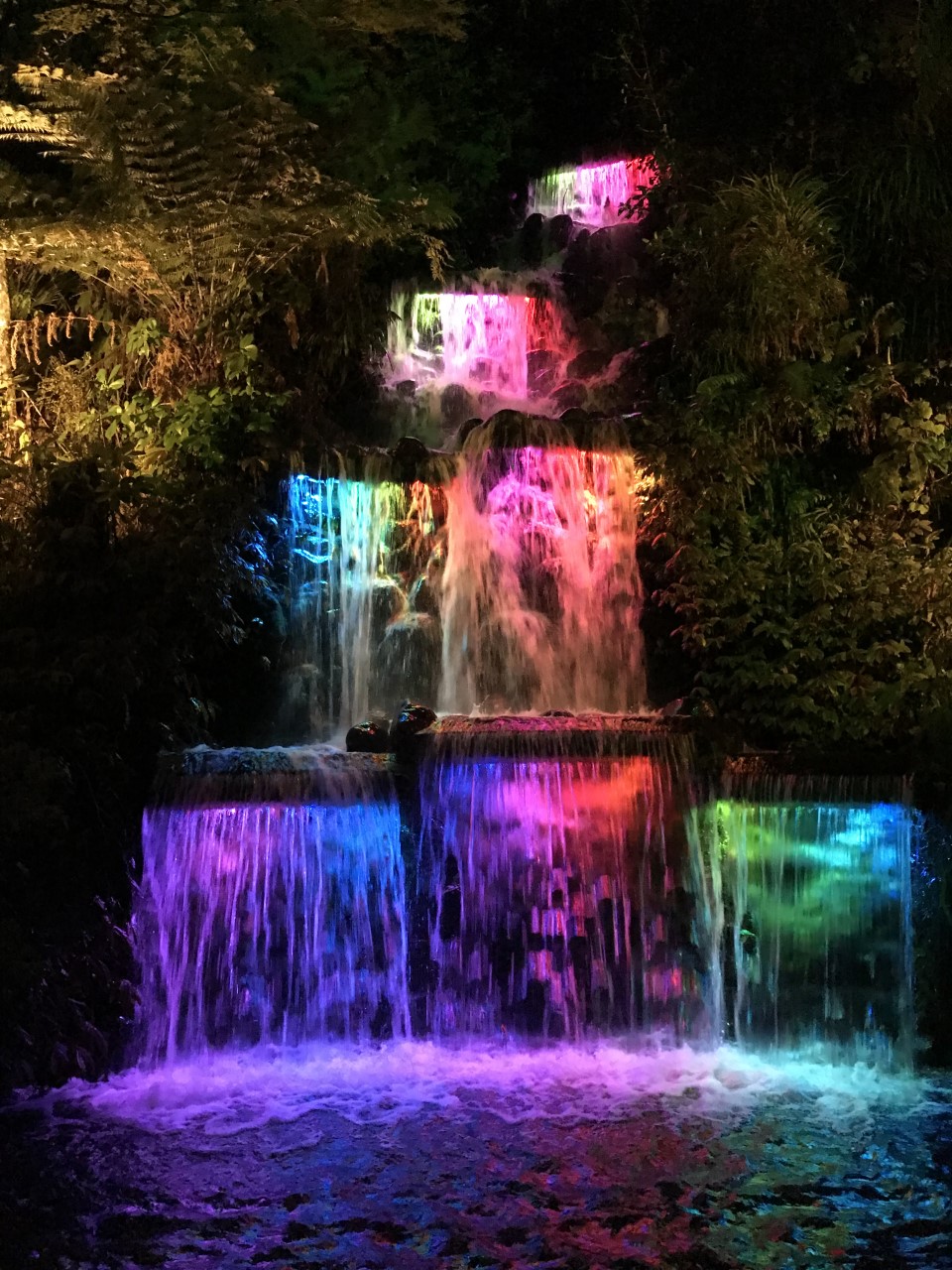 From New Zealand – New Report on New Plymouth Girls’ High School