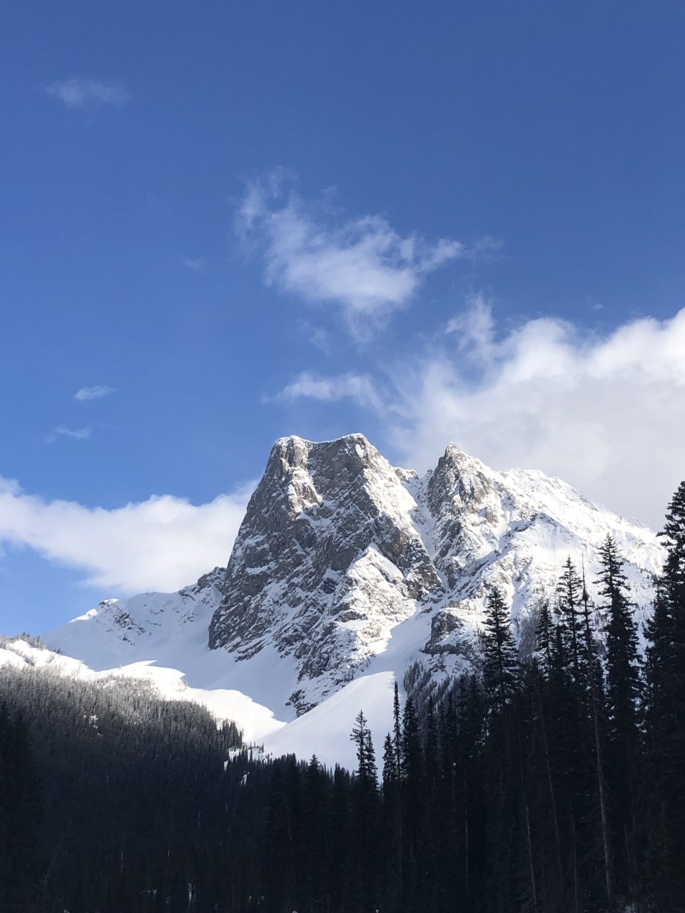 From Canada – Learning many from Great Nature at Rocky Mountains