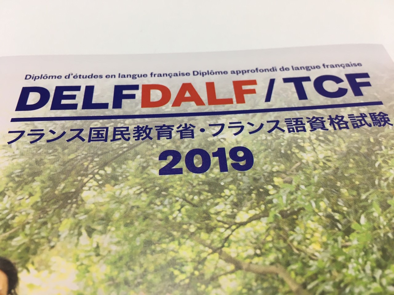 本校がフランス語検定で「文部科学大臣賞」を受賞！