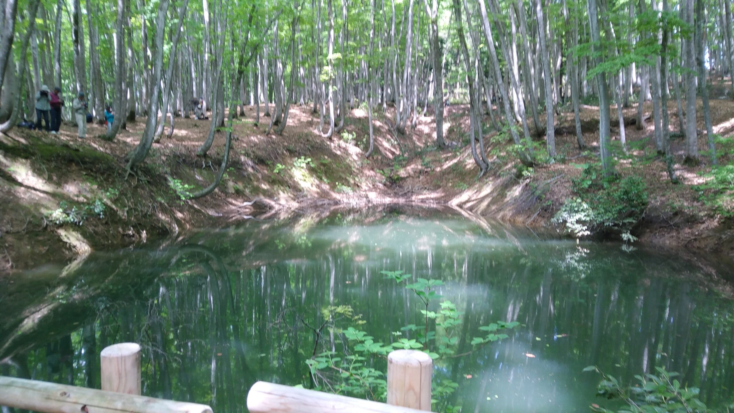 中学2年生　環境学習旅行　3日目