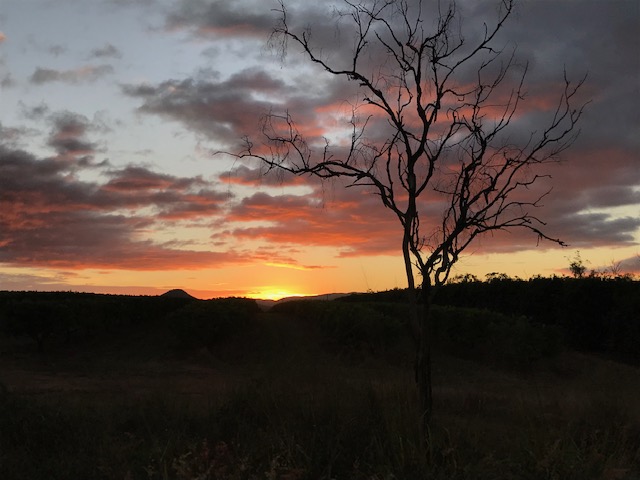 From Australia – Report on The Great Wheelbarrow Race