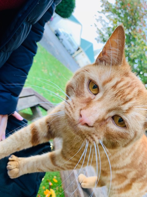 From New Zealand – Cat and Deans Meeting at Sacred Heart Girls College