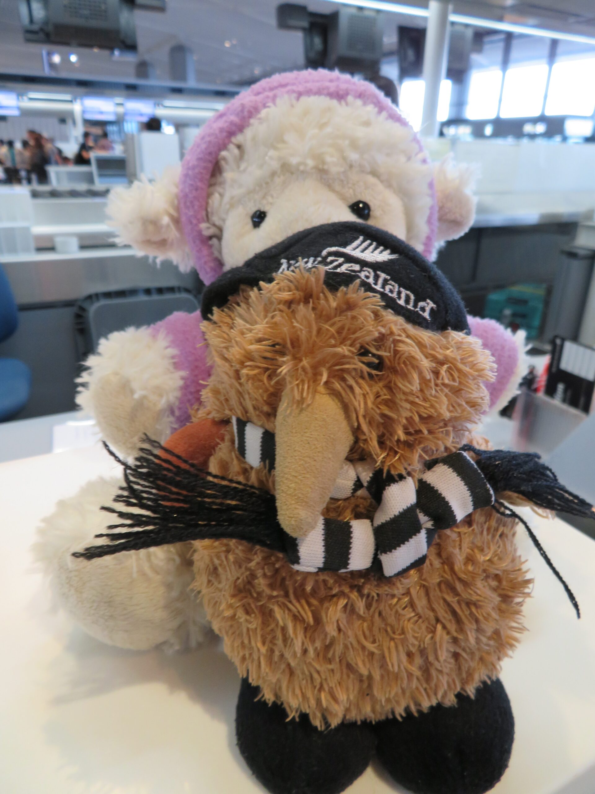 NZ 2weeks program 4日目