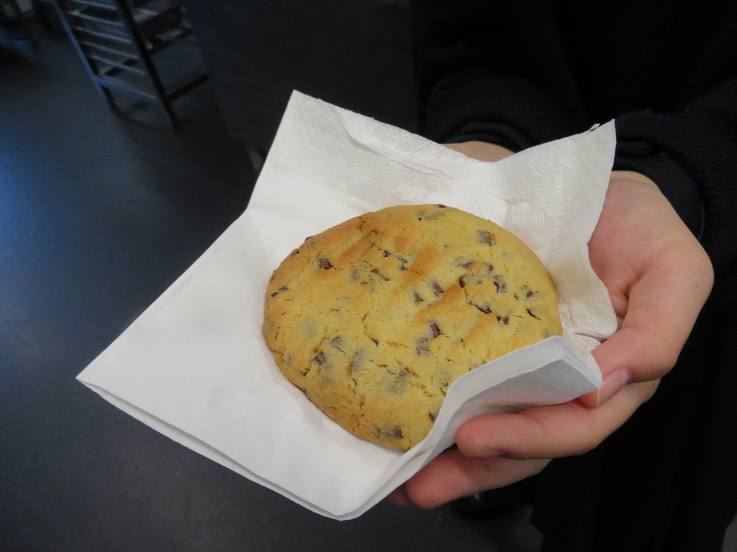 NZ 2Weeks Program 6日目