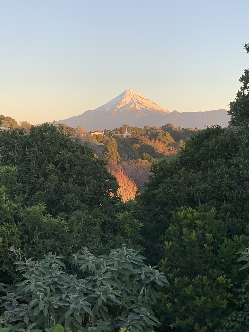 From New Zealand – Petite Cha and Leaving Party at New Plymouth GHS