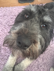 From New Zealand – updated report on the life at Sacred Heart GC