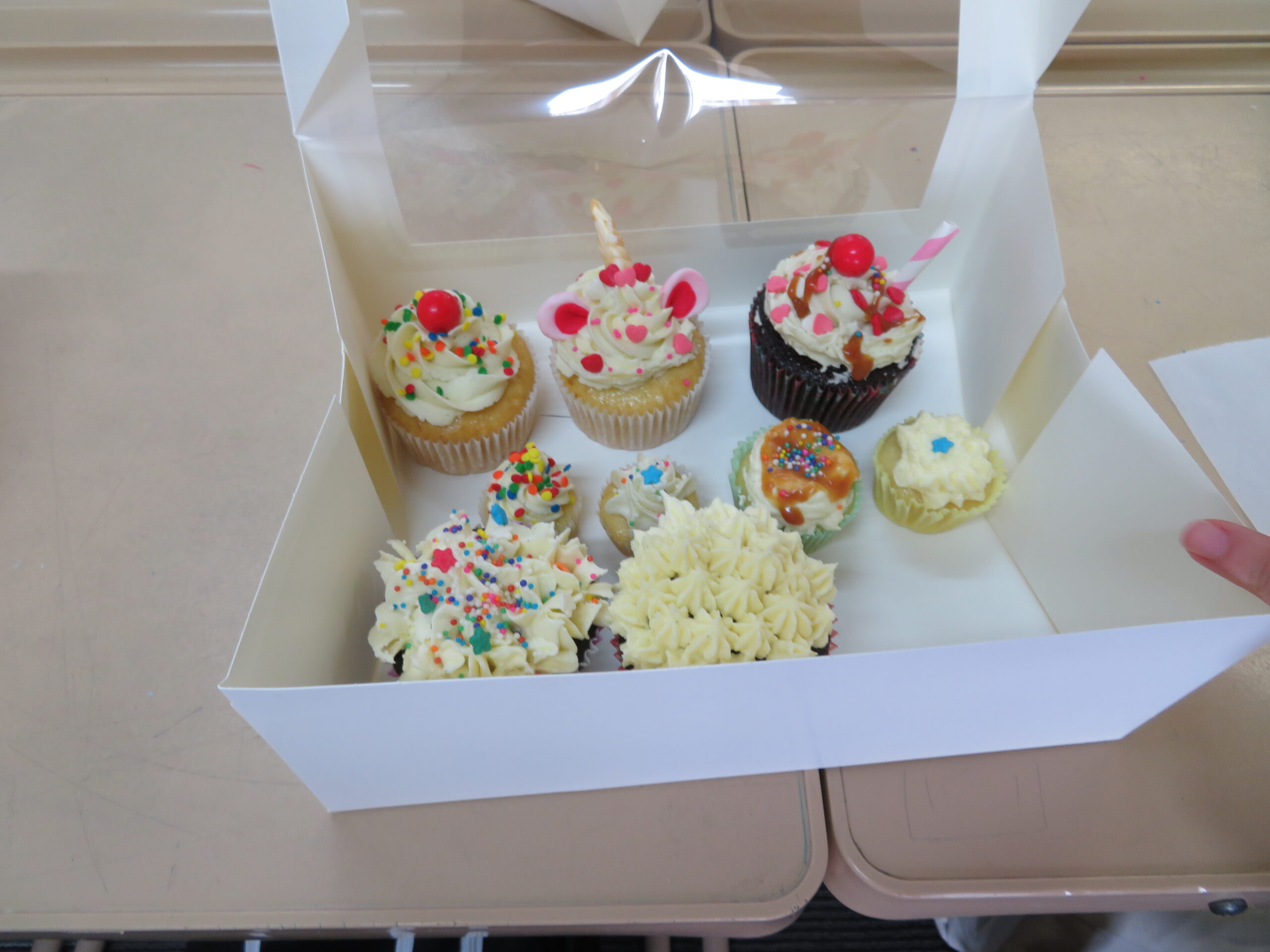 NZ 2 Weeks Program 15日目