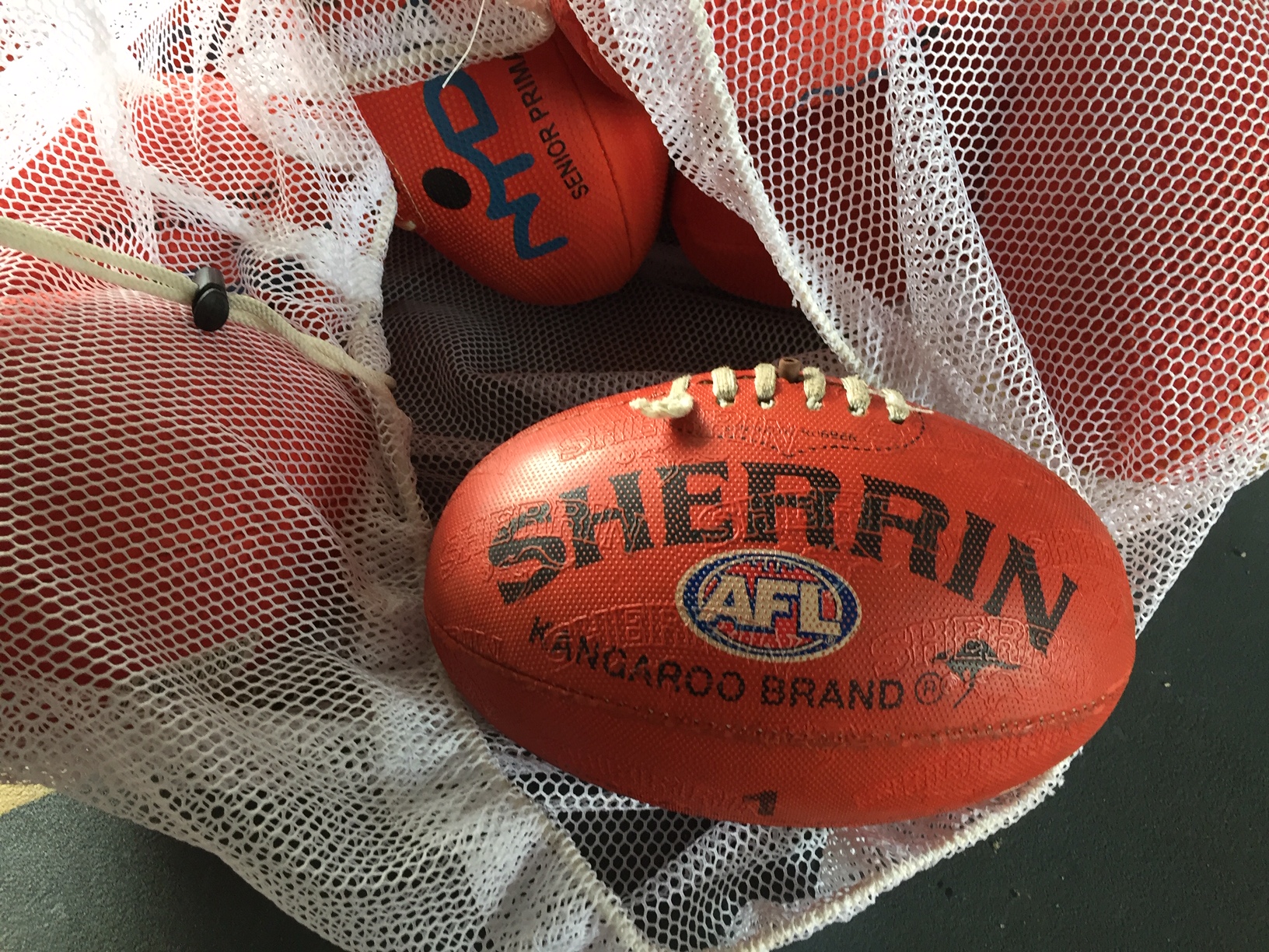 オーストラリアSACCセミナー⑥