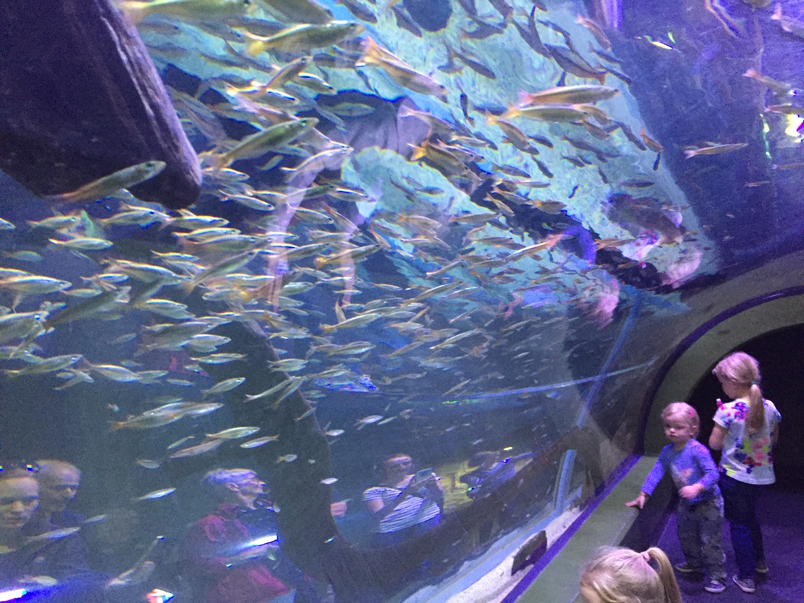 オーストラリアSACCセミナー⑦