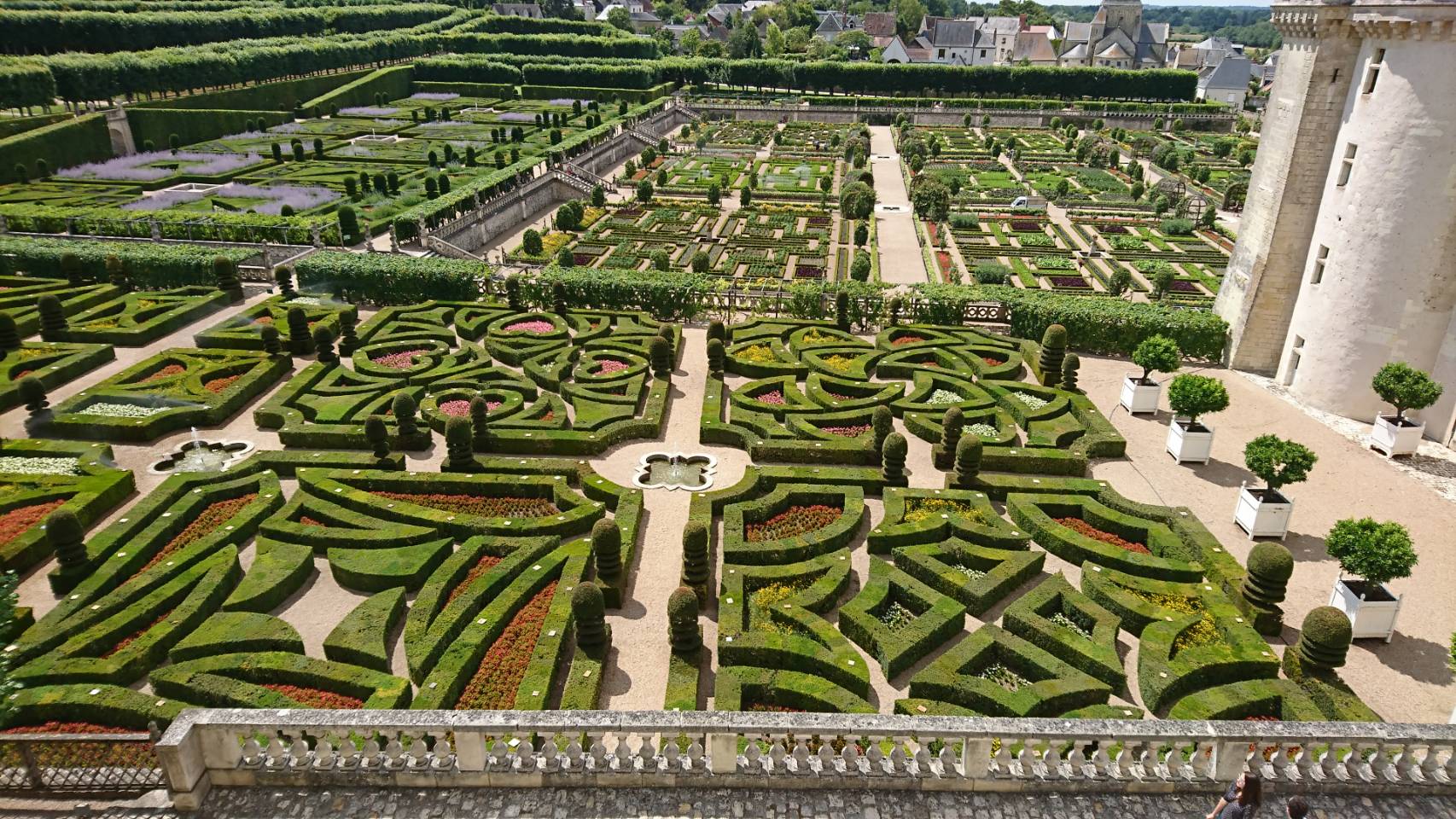 From France – フランス短期研修レポート2019 #13