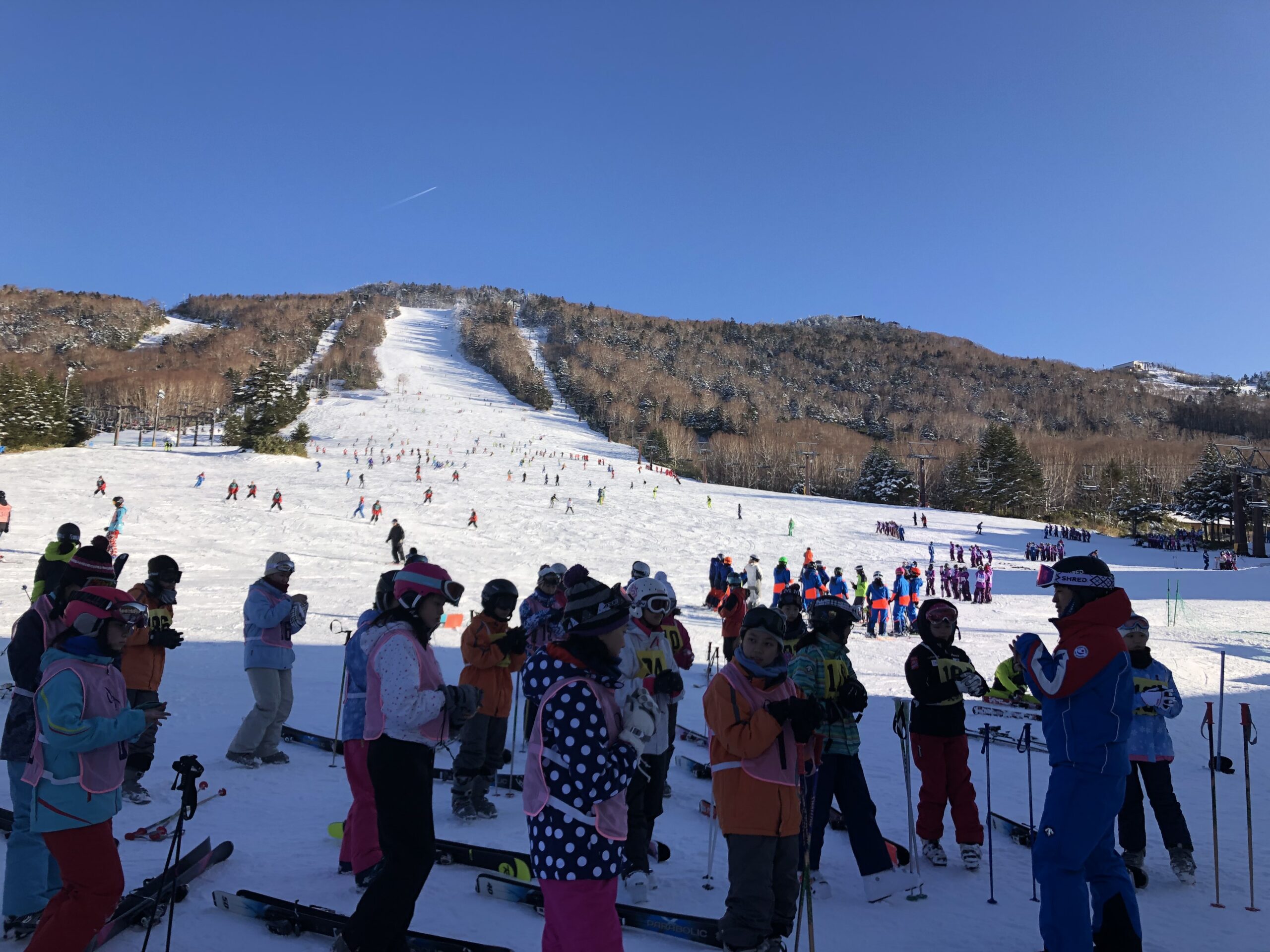 スキー部　合宿報告