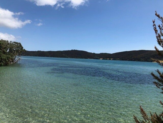 From New Zealand – One Year Exchange Report on Sacred Heart Girls’ College