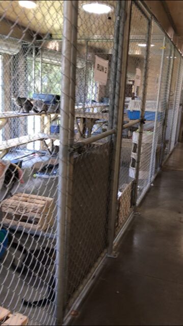 From New Zealand Report from Misaki T. at Inglewood High School