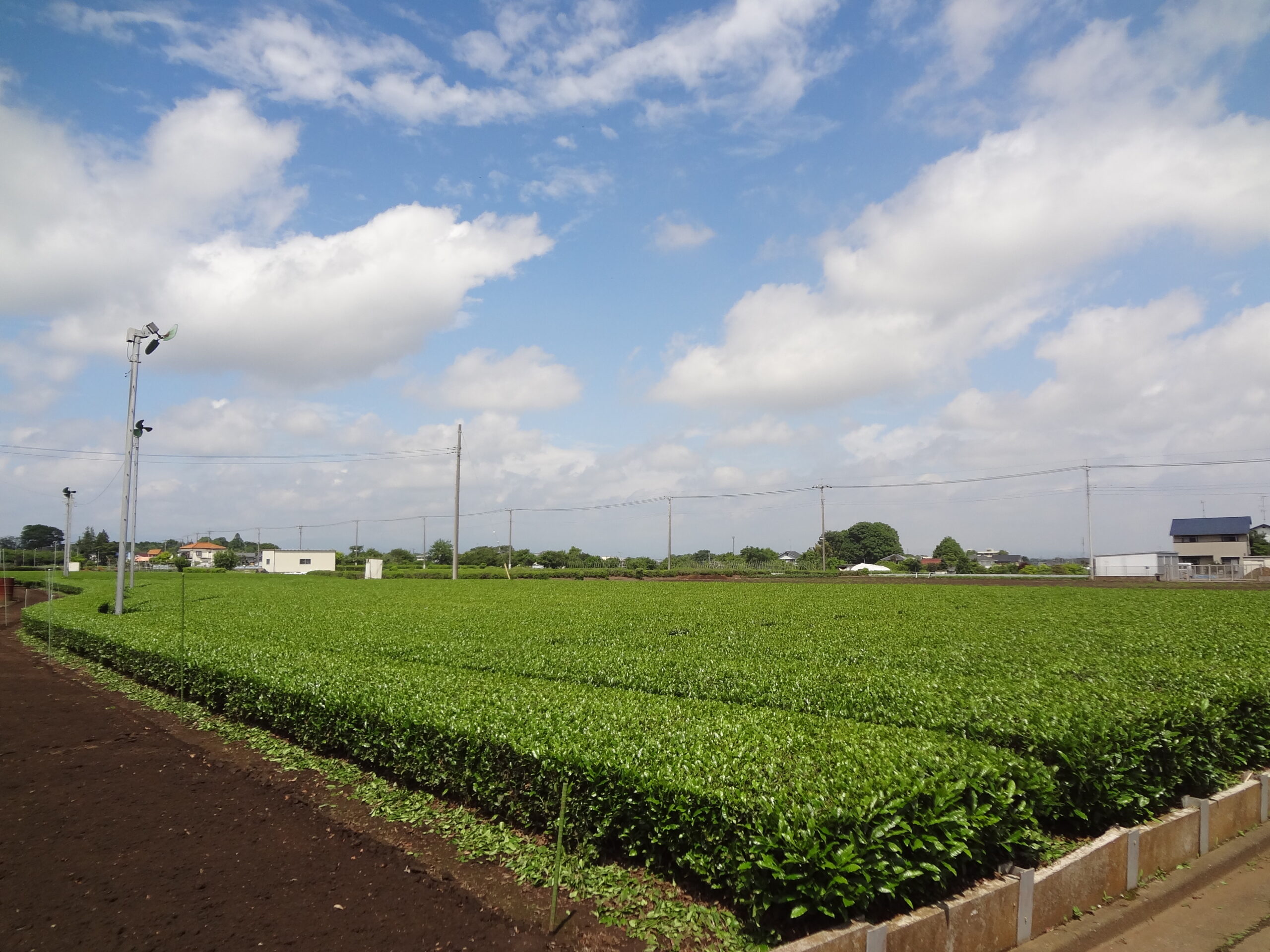 新入生のみなさんへ№30（5月25日）