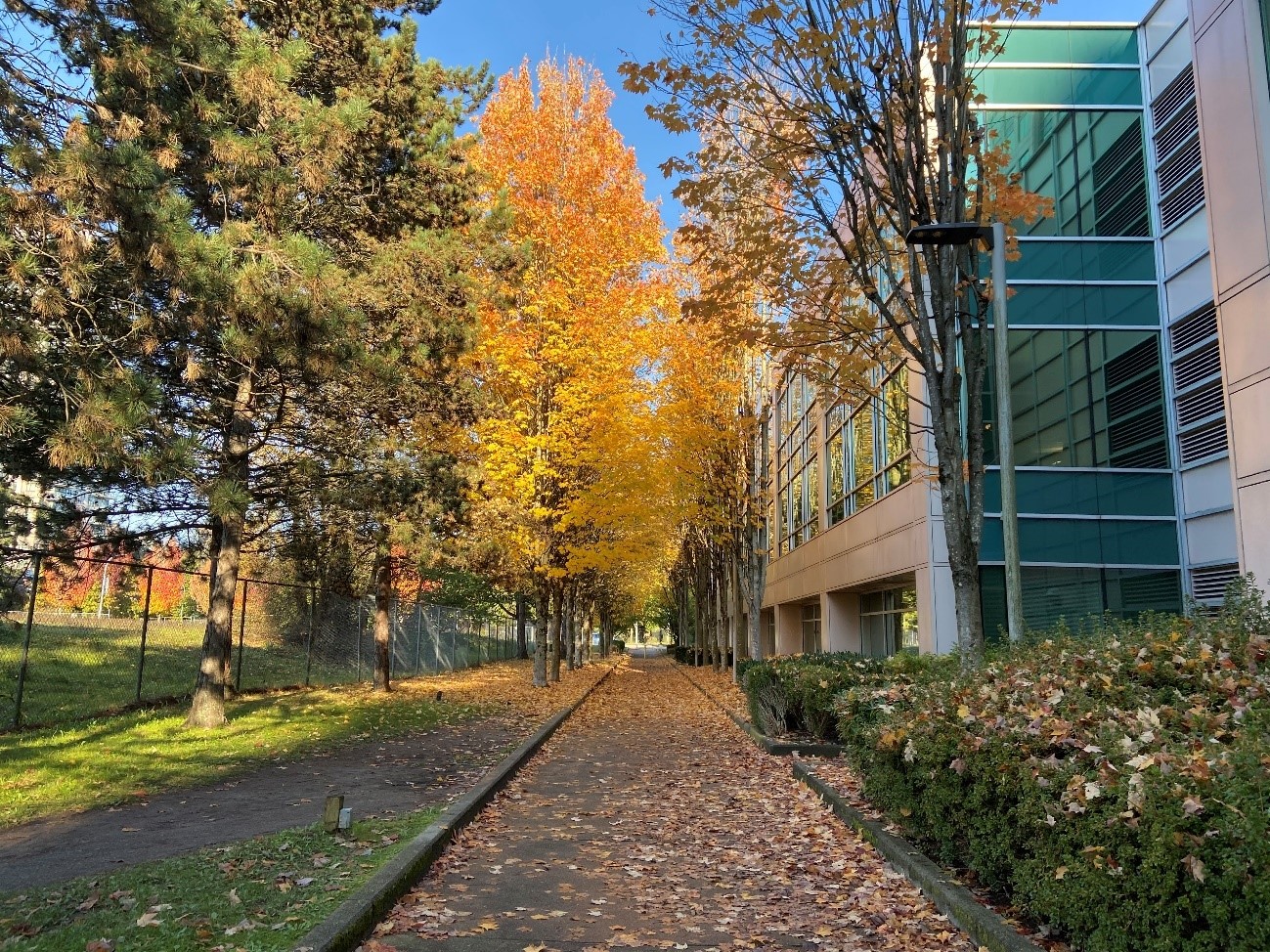 From Canada – Making Our Real Move into the World