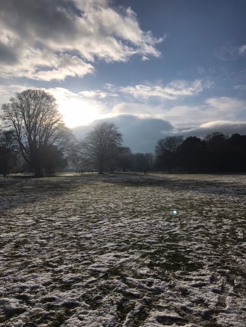 From Ireland ダブリンの大妻中野生から！ Otsuma Nakano as Global Gate