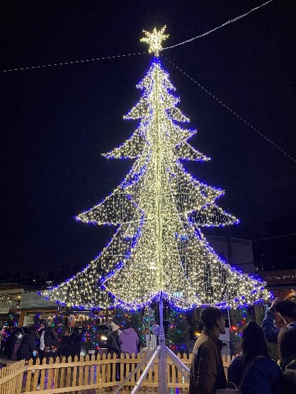 From Burnaby Canada – Exchange Reports on Christmas & New Year!