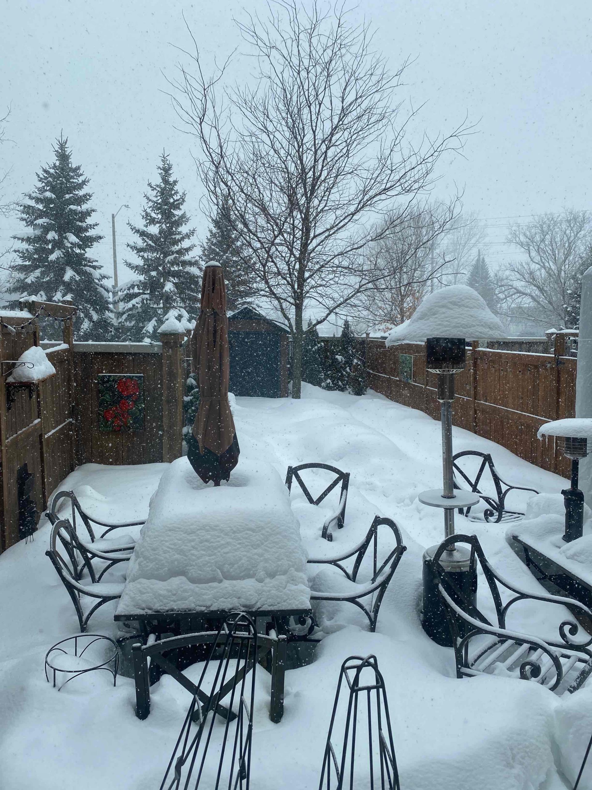 From Ontario, Alberta and BC in Canada – New Reports Reached Out