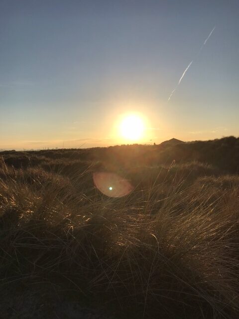 From Ireland & Canada – Updated Reports on Studies Abroad