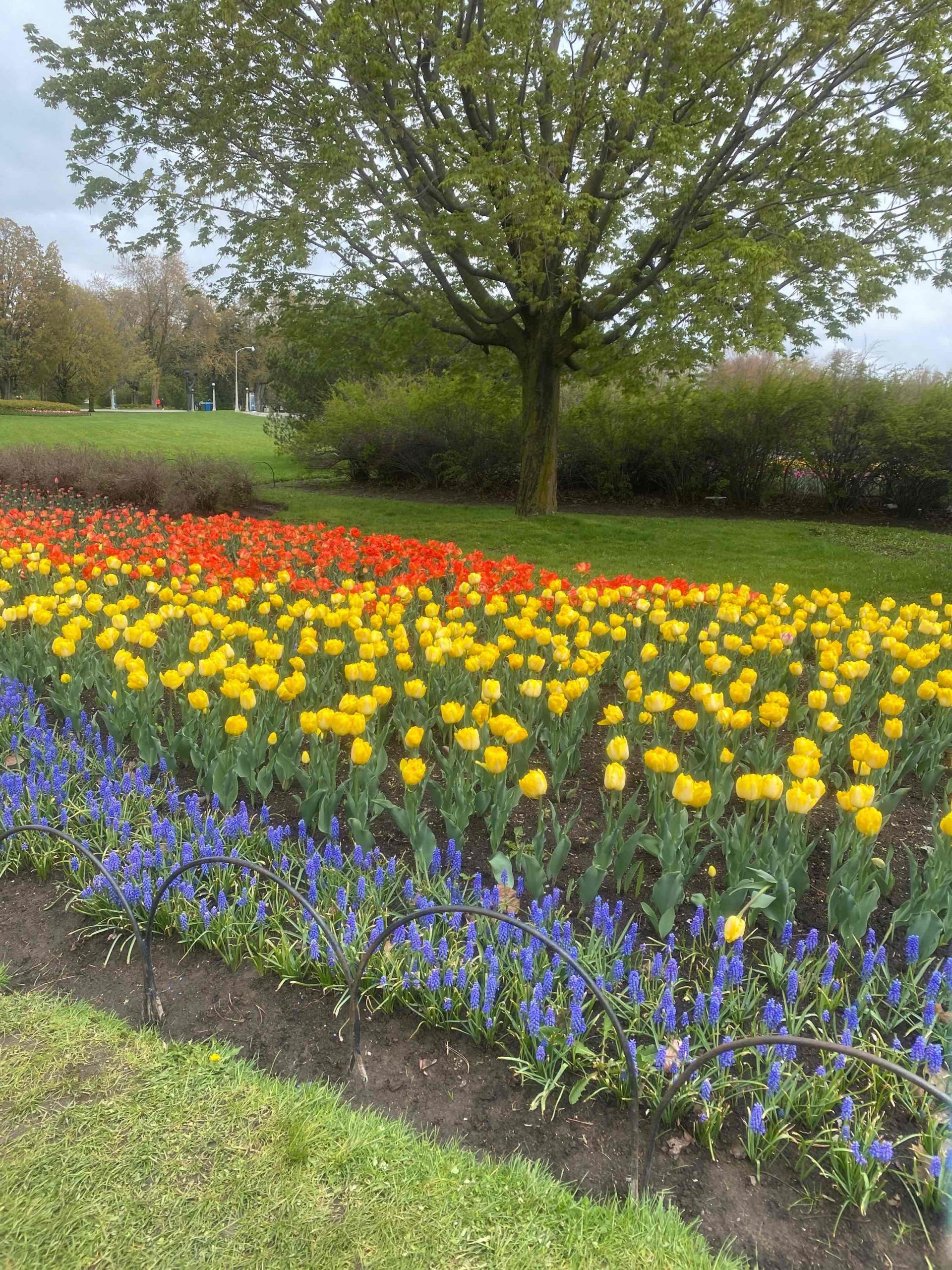 From Canada – Exchange Reports on Schools at Burnaby & Ottawa