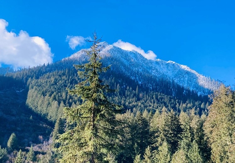 From Canada – Halloween and more – New Reports on Exchange in Canada