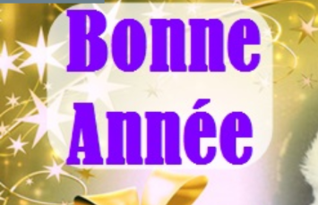 愛媛大学附属高等学校 WWL プログラムにチャレンジ！