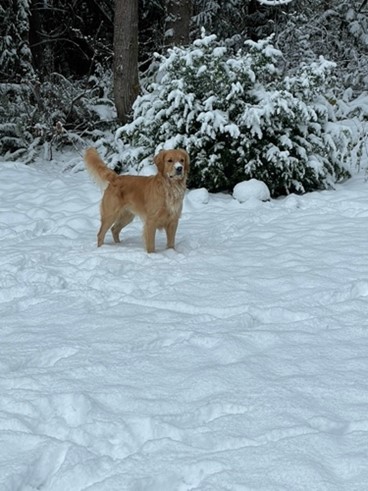 From America and Canada, How to Spend the Winter Holiday Season