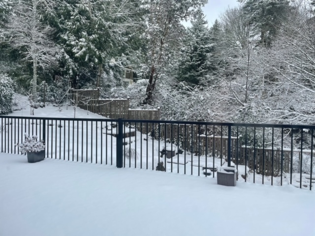 From France and Canada – Profiter de joyeuses fêtes de Noël