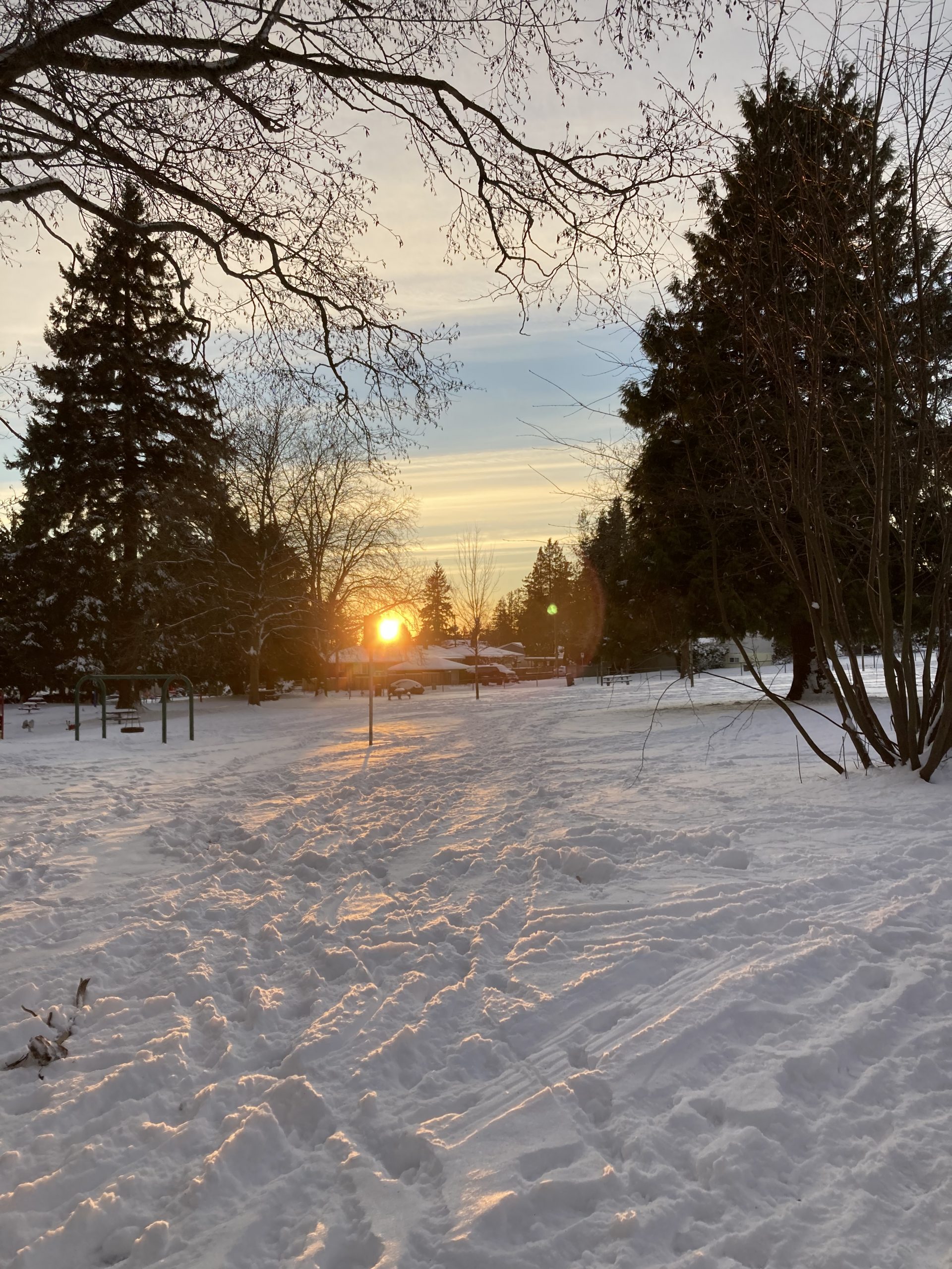 From America and Canada  Exchange Reports on New Experiences