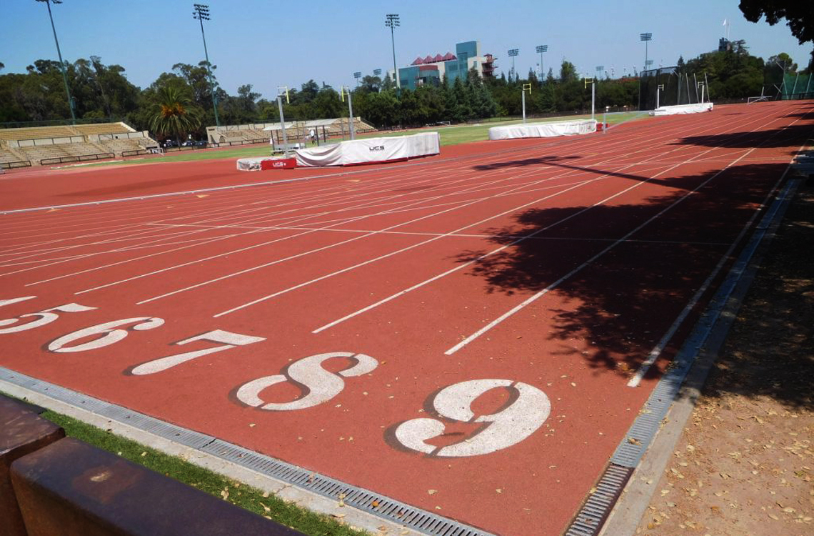 From the US, Germany and Canada – Give it the best try to new experiences