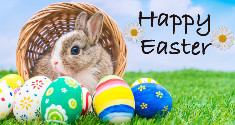 From American & Canada – Easter Holidays & Graduation Coming Soon