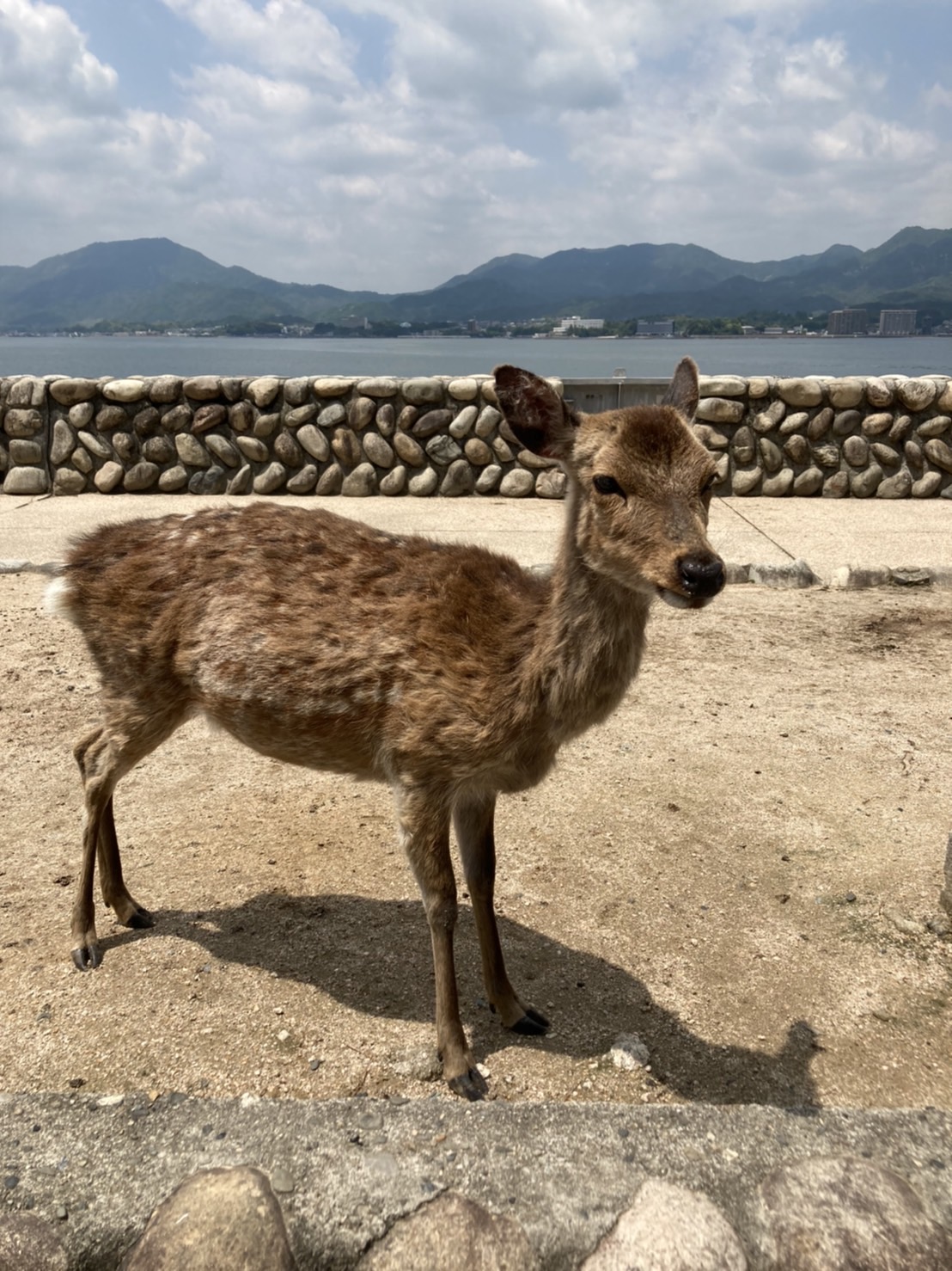 中学3年生　平和学習旅行3日目