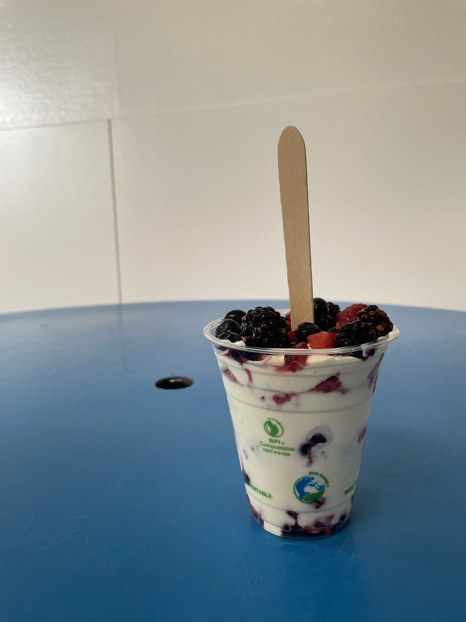 From America & Canada – Final Study Abroad Reports 1