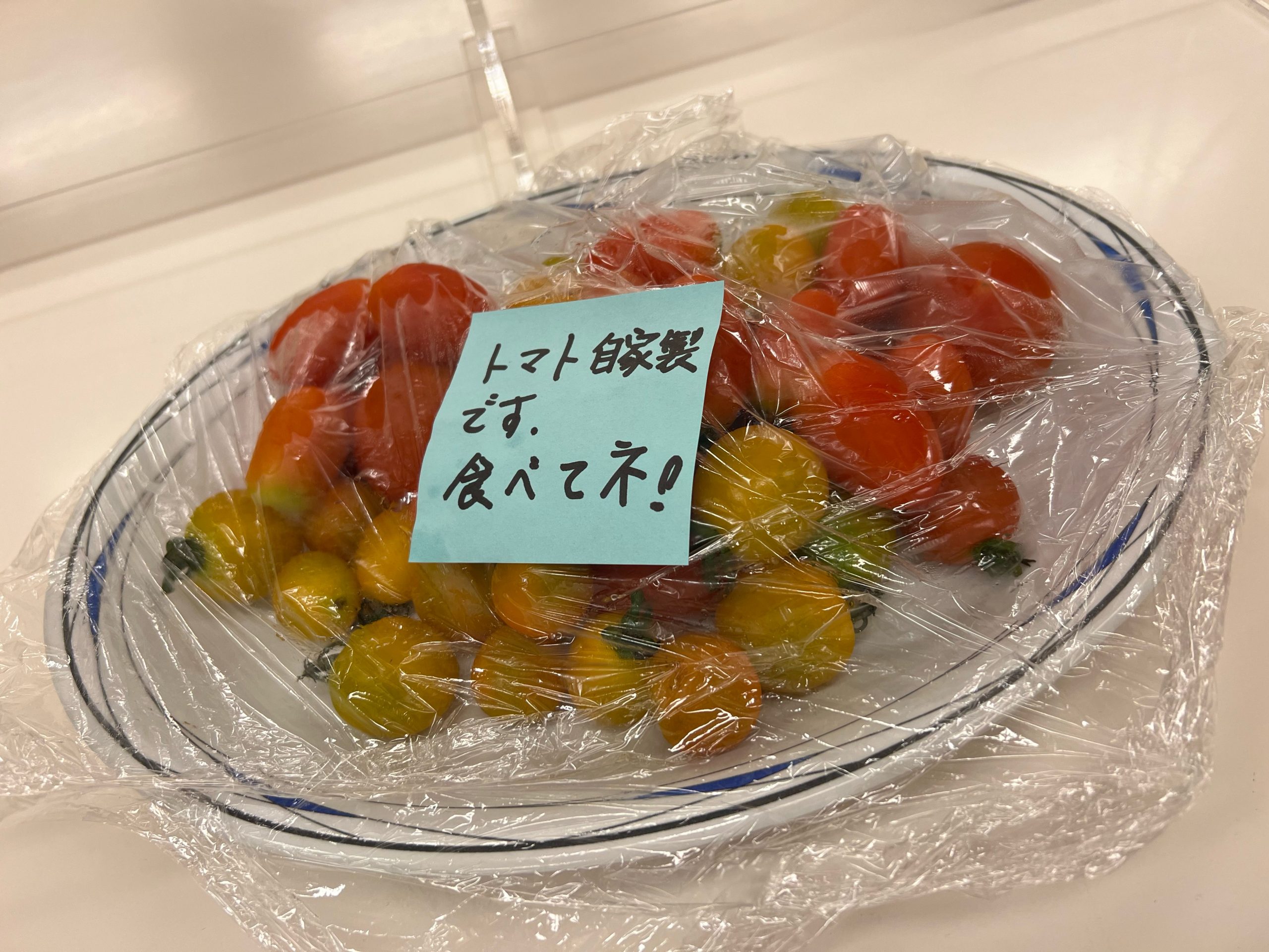 バドミントン部 夏合宿2022【１日め】